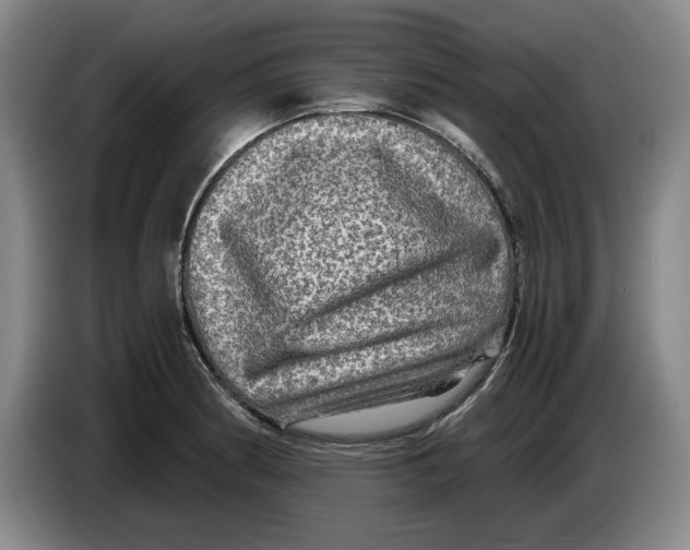 X0000084031186200703092004