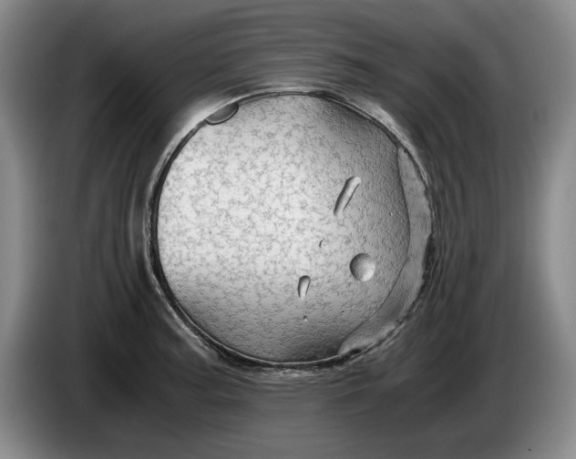 X0000084031187200703092004