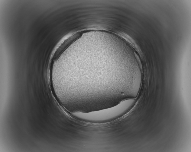 X0000084031188200703092004