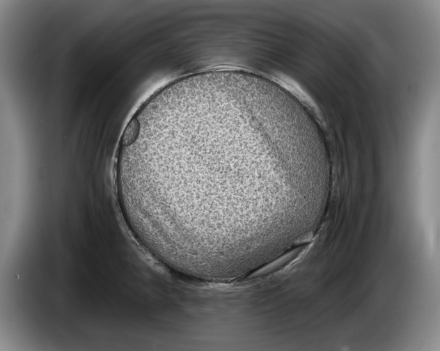 X0000084031190200703092004