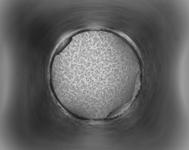 X0000084031191200703092004