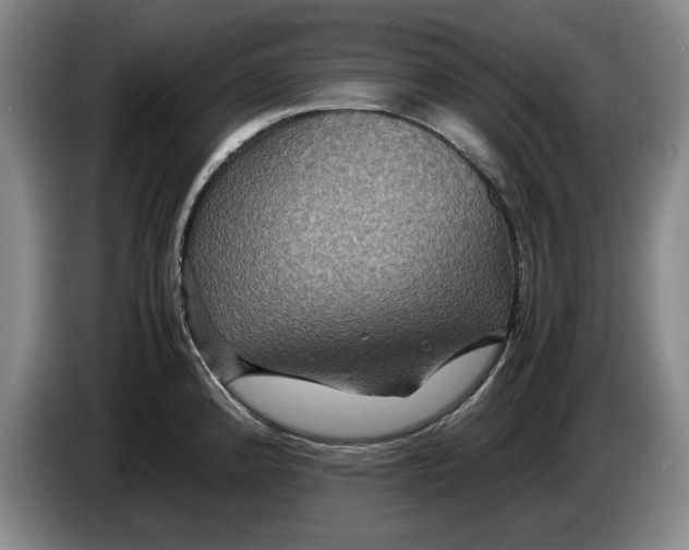 X0000084031192200703092004