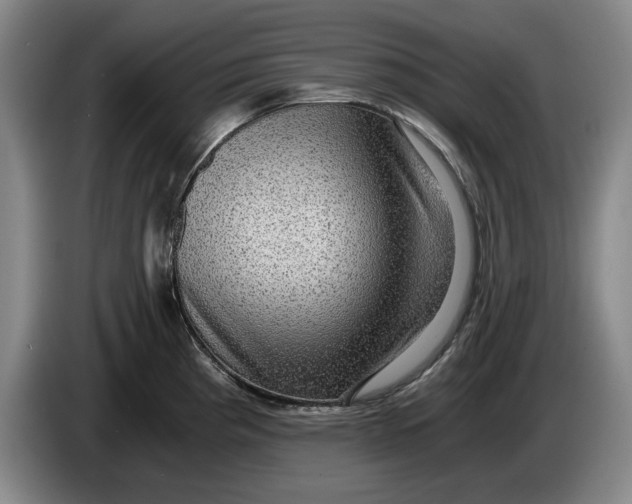 X0000084031193200703092004