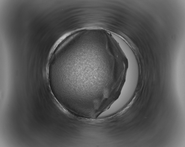 X0000084031196200703092004