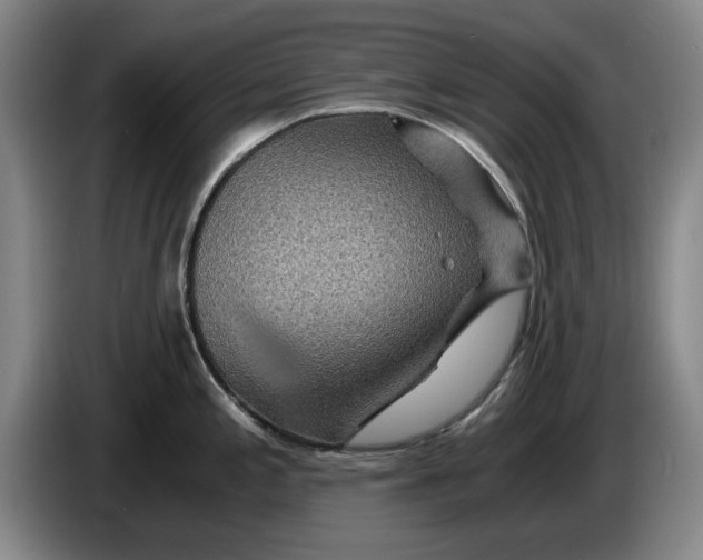 X0000084031197200703092003