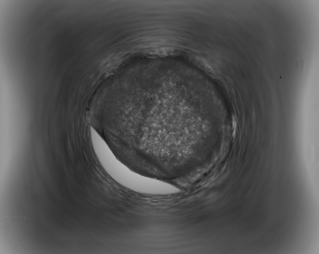 X0000084031202200703092003