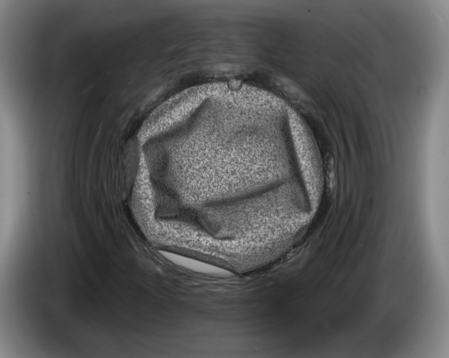 X0000084031204200703092003