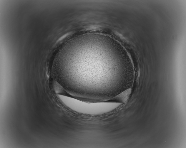 X0000084031206200703092003