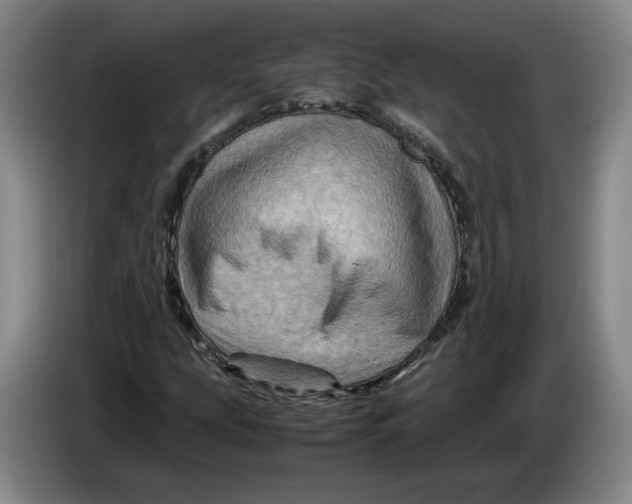 X0000084031207200703092003