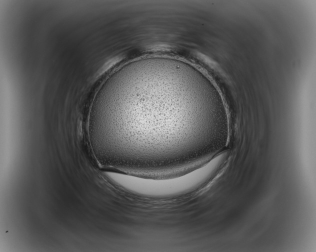 X0000084031209200703092003