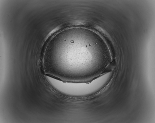 X0000084031210200703092003