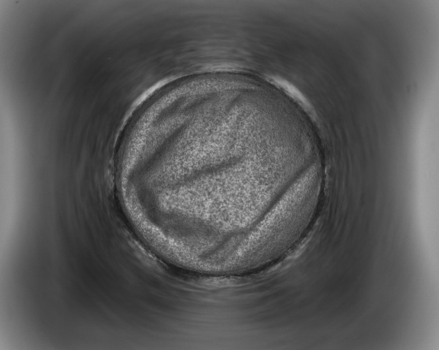 X0000084031212200703092003