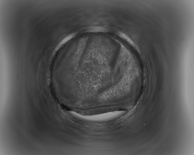 X0000084031213200703092003