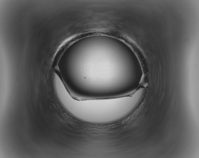 X0000084031214200703092003