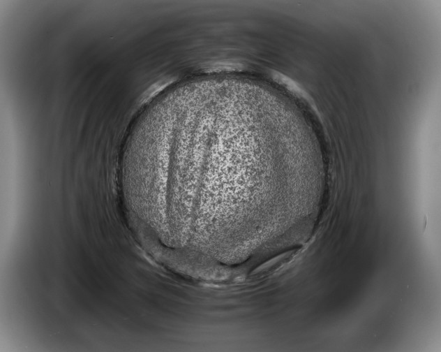 X0000084031217200703092003