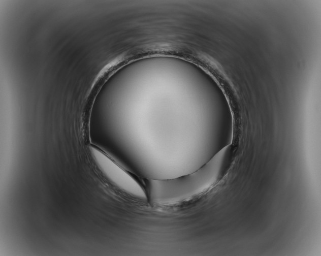 X0000084031218200703092003