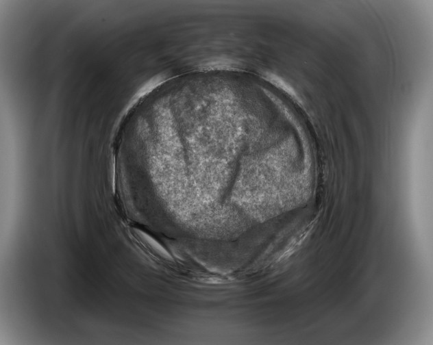 X0000084031219200703092003