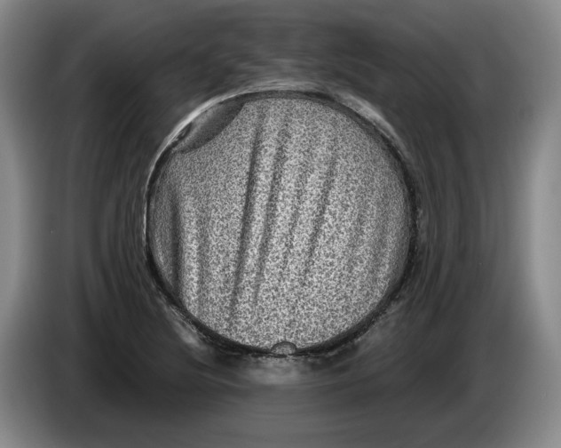 X0000084031220200703092003