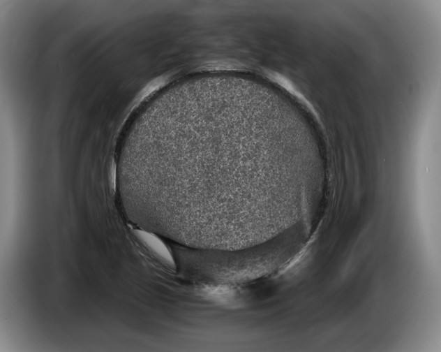 X0000084031221200703092003