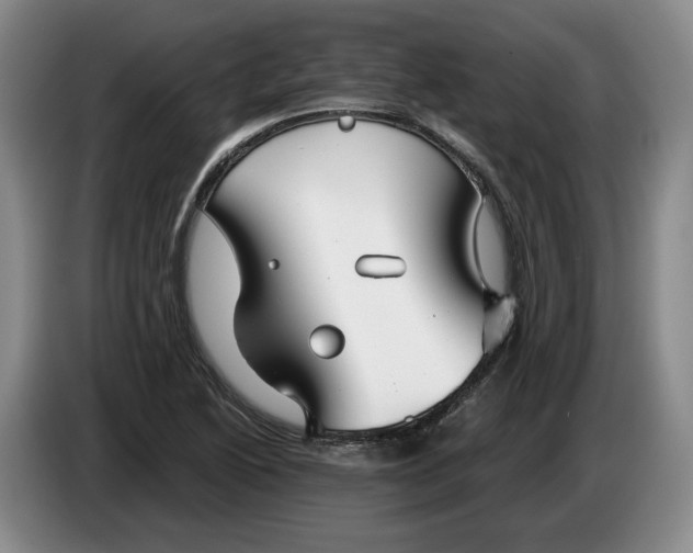 X0000084031222200703092003