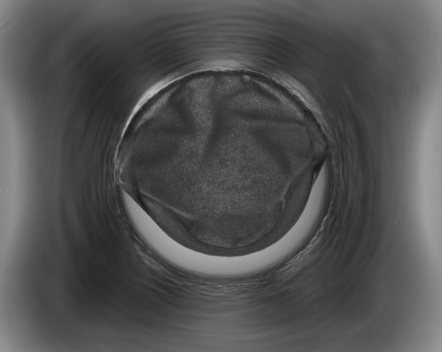 X0000084031226200703092003