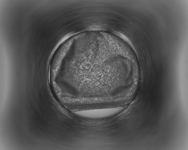 X0000084031227200703092003