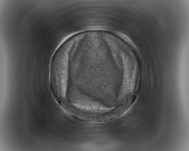 X0000084031228200703092003