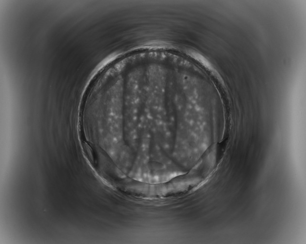 X0000084031229200703092003