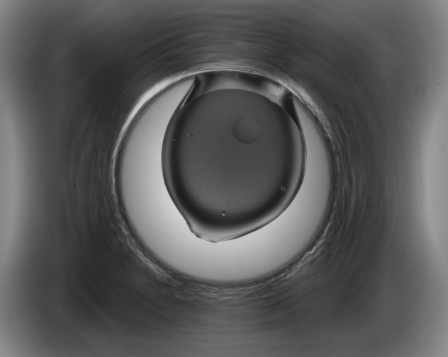 X0000084031230200703092003