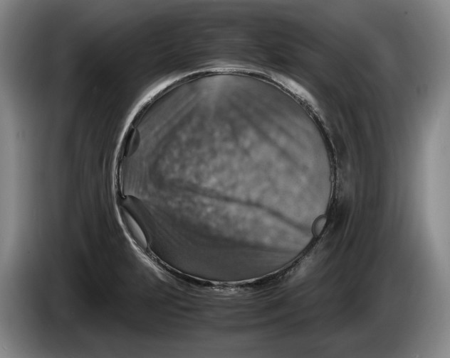 X0000084031231200703092003