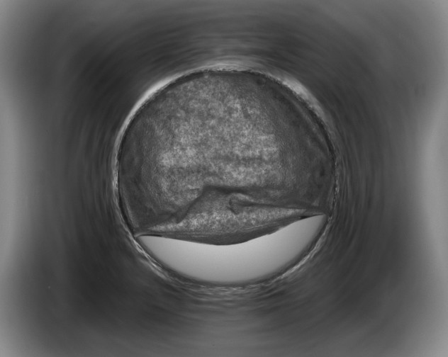 X0000084031232200703092003