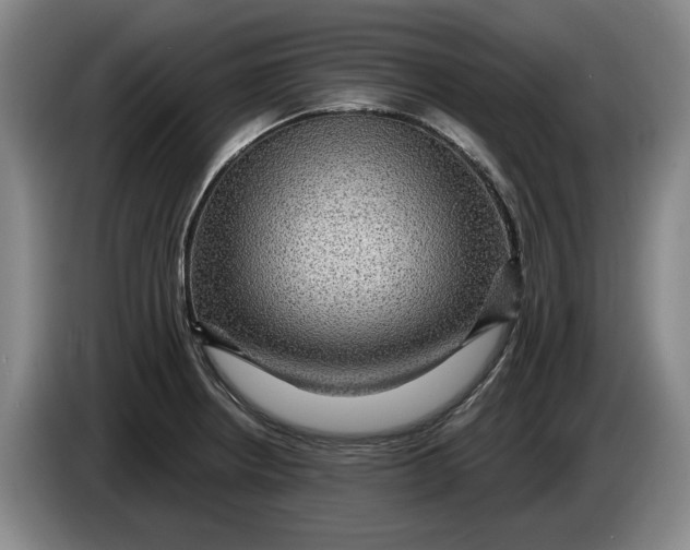 X0000084031234200703092003