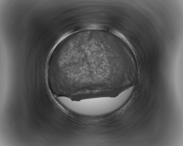 X0000084031235200703092003