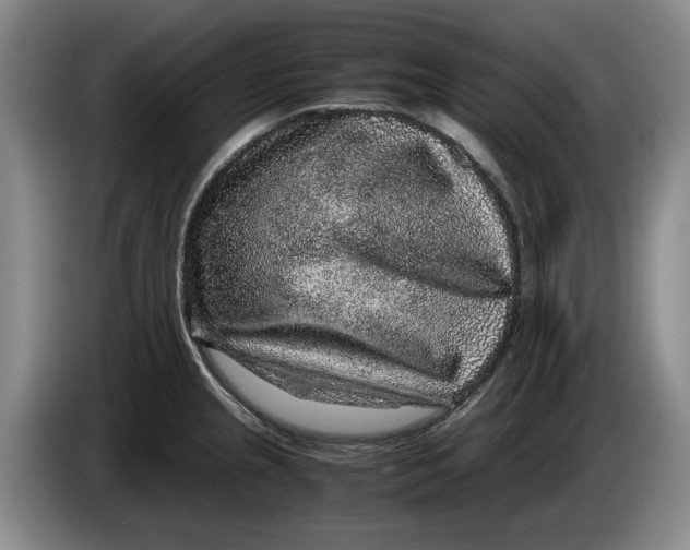 X0000084031237200703092003