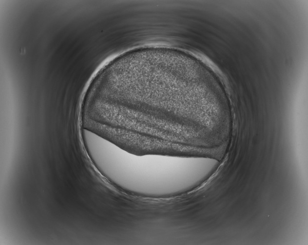 X0000084031240200703092003