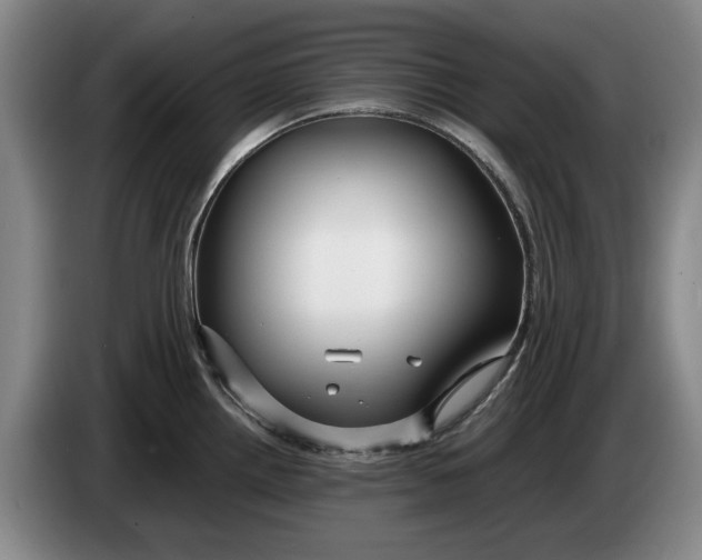 X0000084031242200703092003