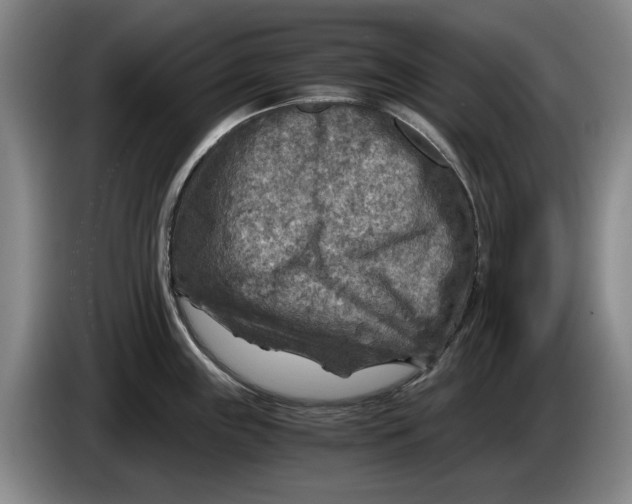 X0000084031243200703092003