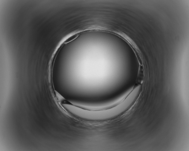 X0000084031246200703092003