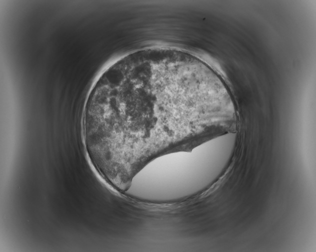 X0000084031247200703092003