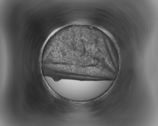 X0000084031248200703092003