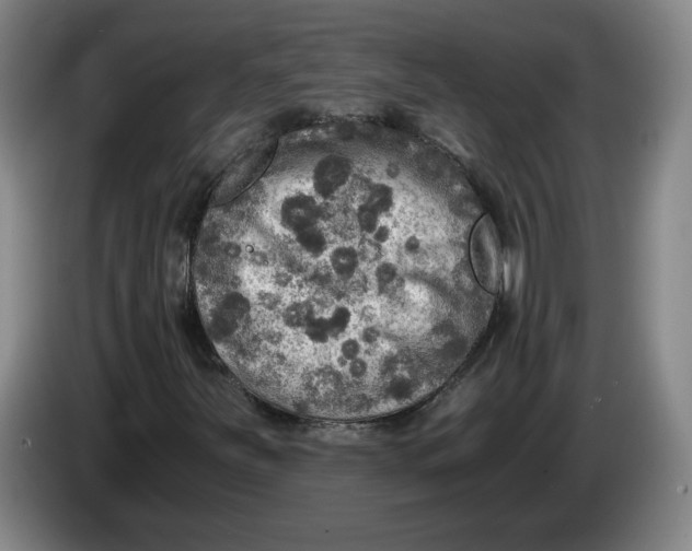 X0000084031251200703092003