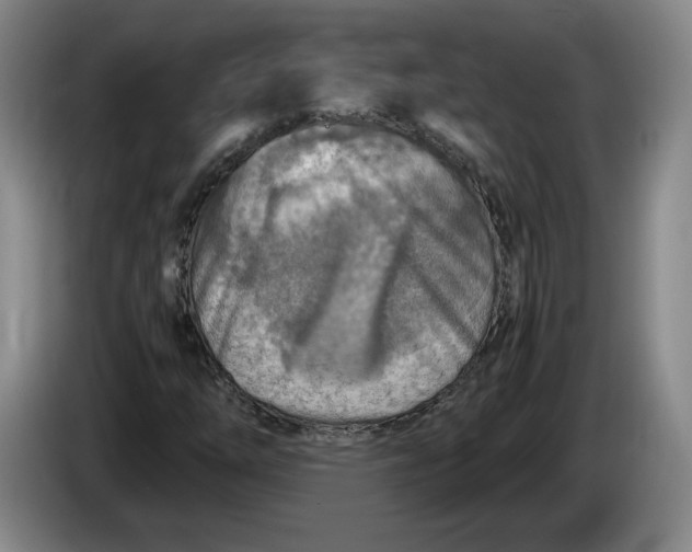 X0000084031254200703092003