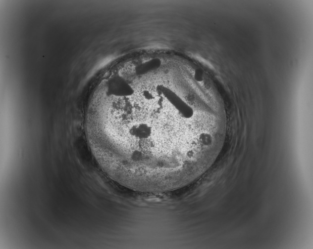 X0000084031255200703092002