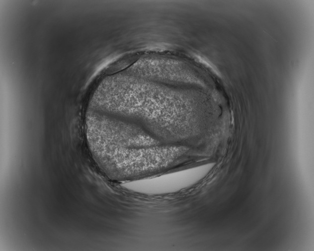 X0000084031256200703092002