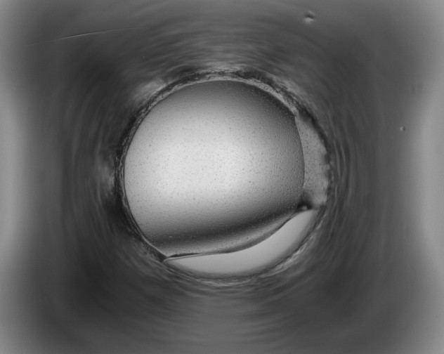 X0000084031257200703092002