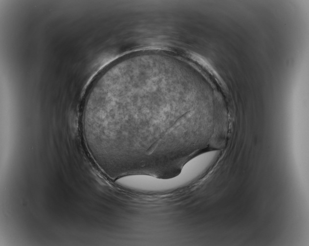 X0000084031260200703092002