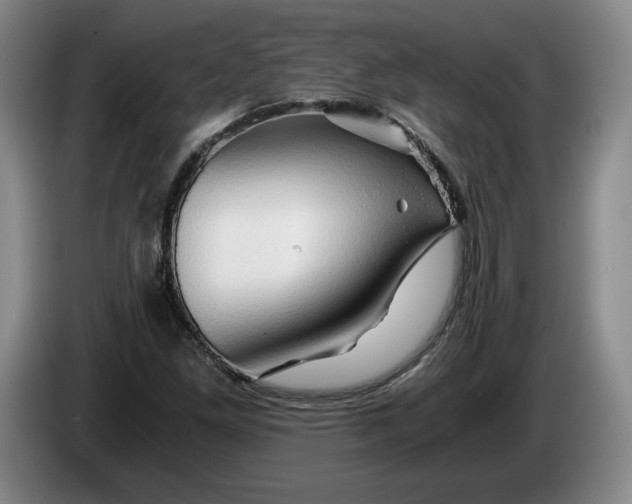 X0000084031261200703092002