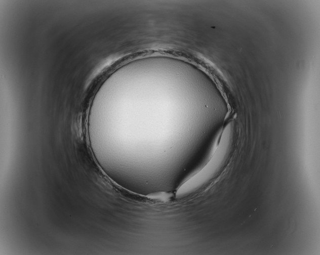 X0000084031262200703092002