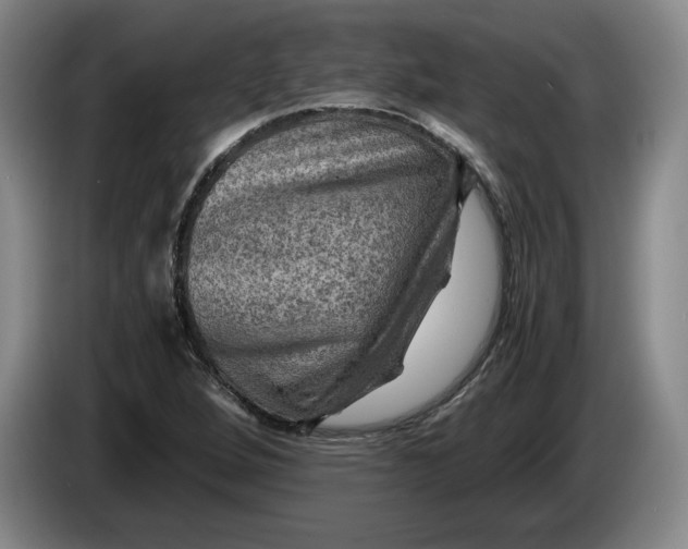 X0000084031264200703092002