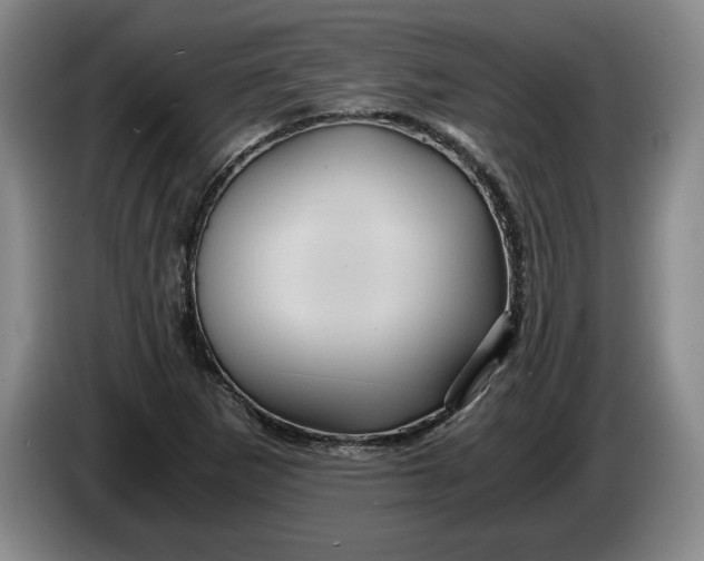 X0000084031265200703092002